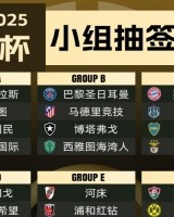 NG28-世俱杯参赛队伍按国家联赛分布：共20国联赛球队参加 巴西4队最多